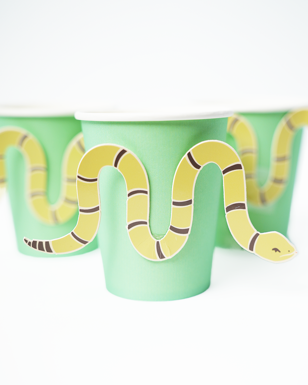Snake In My Boot Party Scape
