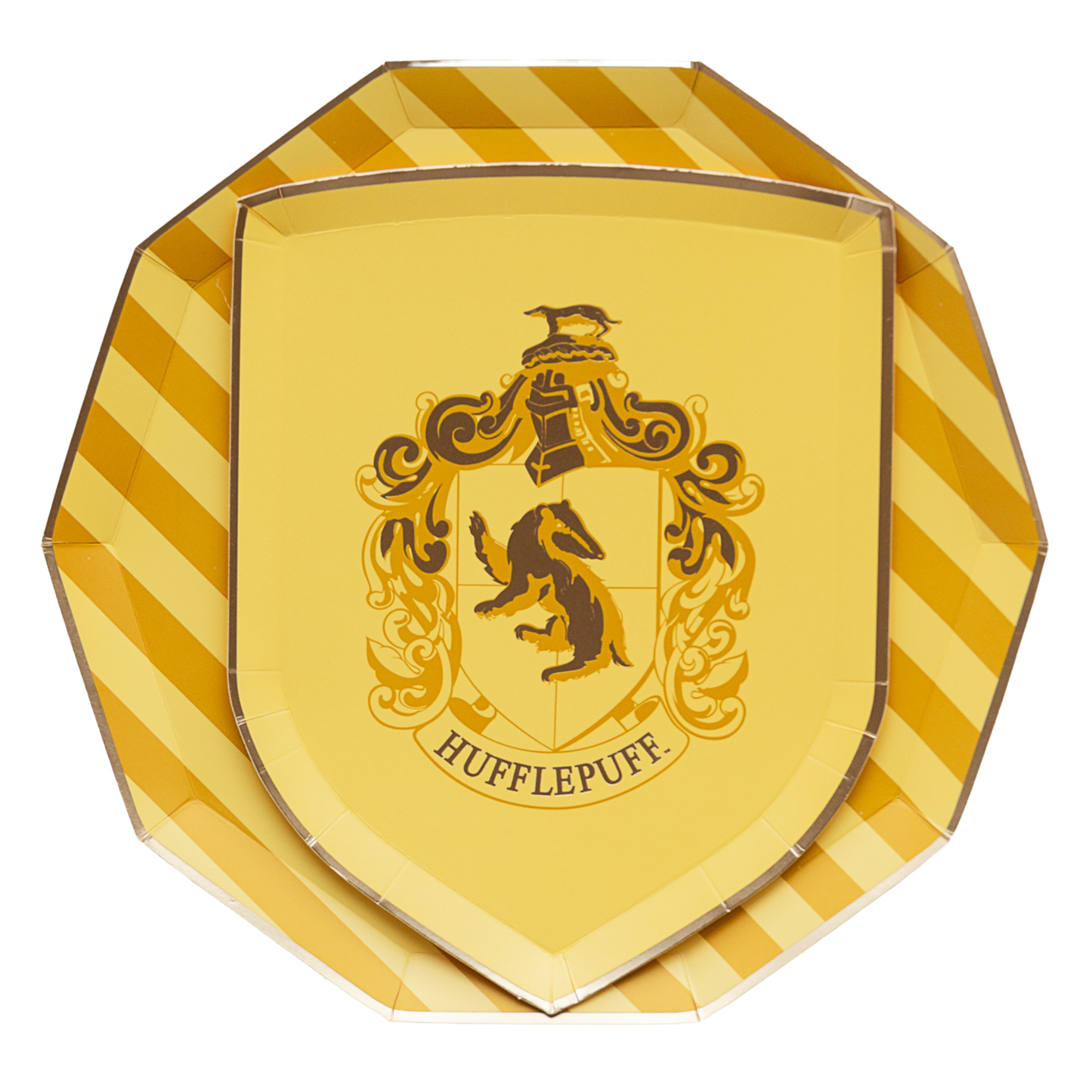 Harry Potter House Party