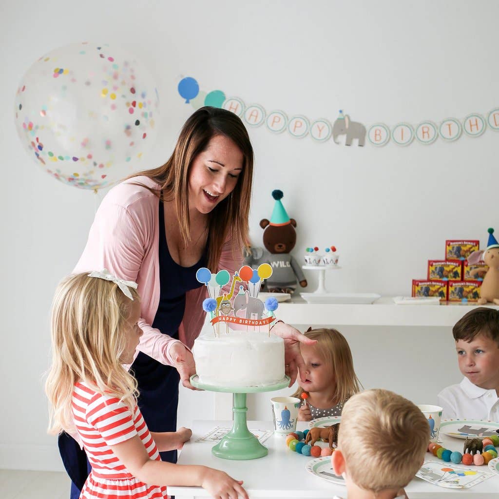 Party Animal Mini Party Box